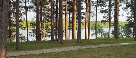 A forested area with a wooden boardwalk leading to a lake.