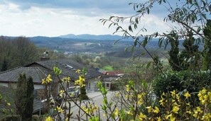 A residential area with houses, a clear sky, and distant mountains.