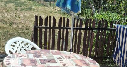 Cozy house a stone's throw from Lake Balaton