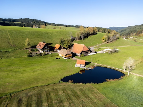 Una propiedad rural con una casa grande, un estanque y campos verdes circundantes.
