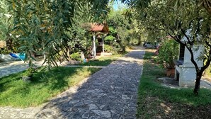 A stone pathway leading through a garden with potted plants and a small structure. - Rozalia Studios  (Sivota)