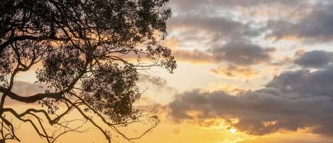 House | 4 bedrooms, Internet