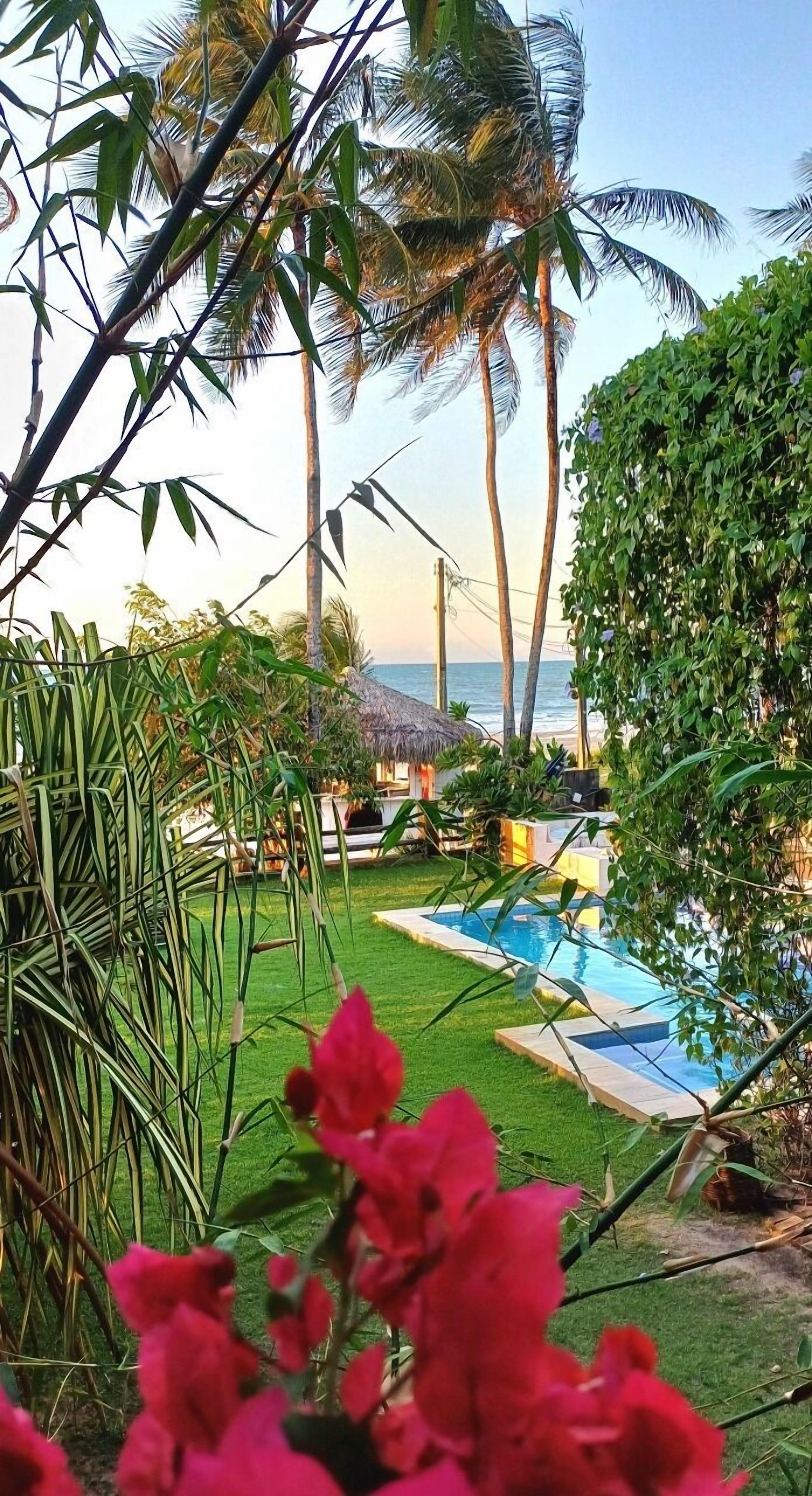 Quang cảnh vườn