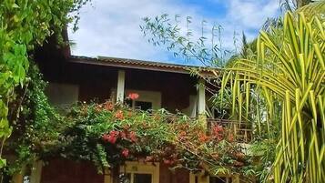Jardim