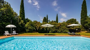 A swimming pool with clear water, surrounded by greenery and tall trees.