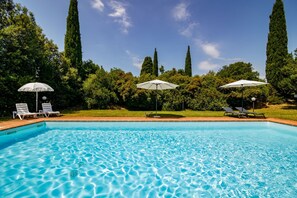Una piscina con agua cristalina, rodeada de vegetación y árboles altos.