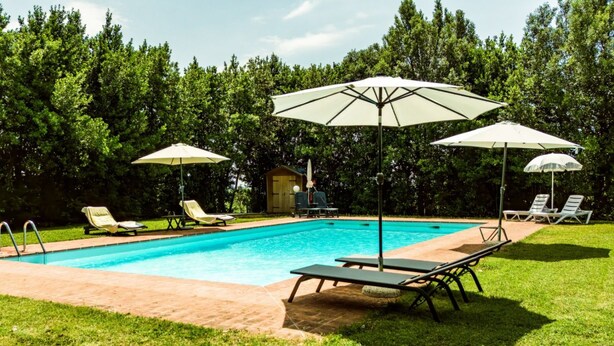 A swimming pool with lounge chairs and umbrellas, surrounded by a grassy area and trees.