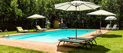 A swimming pool with lounge chairs and umbrellas, surrounded by a grassy area and trees.