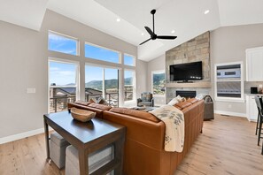 TV, fireplace, books, stereo