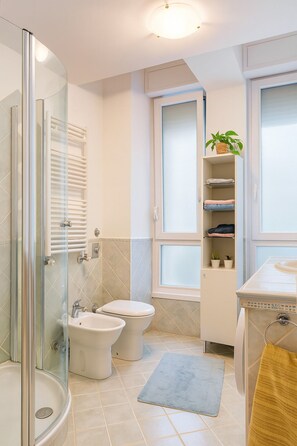 Shower, hair dryer, bidet, towels