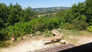 A rustic outdoor area with a wooden bench and a small garden.
