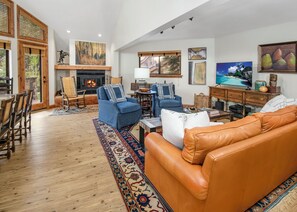 Smart TV, fireplace, books