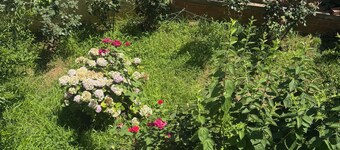 Silv apartment3 Preveza city center