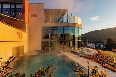 Pfalzblick Wald Spa Resort