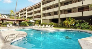 Pool - Oceanfront Condo 117 in Kailua-kona (Kailua-Kona)