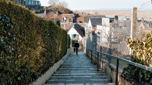 A stone staircase leading uphill with a hedge on one side and a fence on the other.