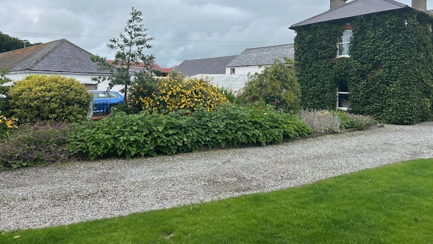 A residential area with a house covered in ivy, a gravel driveway, and a blue car parked nearby.