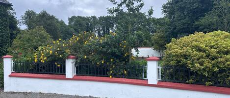 A white wall with a red top edge, a black metal fence, and a gravel ground.