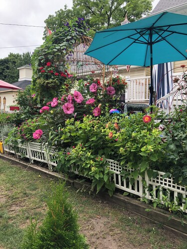 RM 1 THE LAKE ROOM cozy comfortable with all the amenities