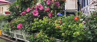 RM 1 THE LAKE ROOM cozy comfortable with all the amenities