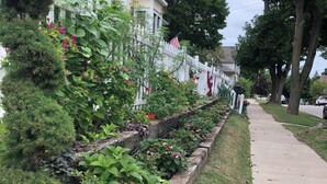 Eine Wohnstraße mit Häuserreihe, Bürgersteig und weißem Ziergartenzaun.