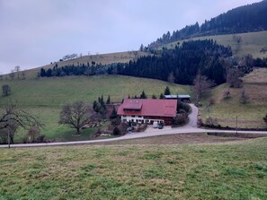 Exterior - Studio 'Rehblick' with Shared Garden and Wi-Fi (Zell am Harmersbach)