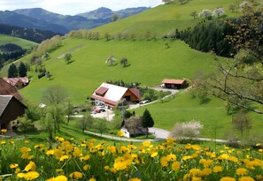 Jardines del alojamiento