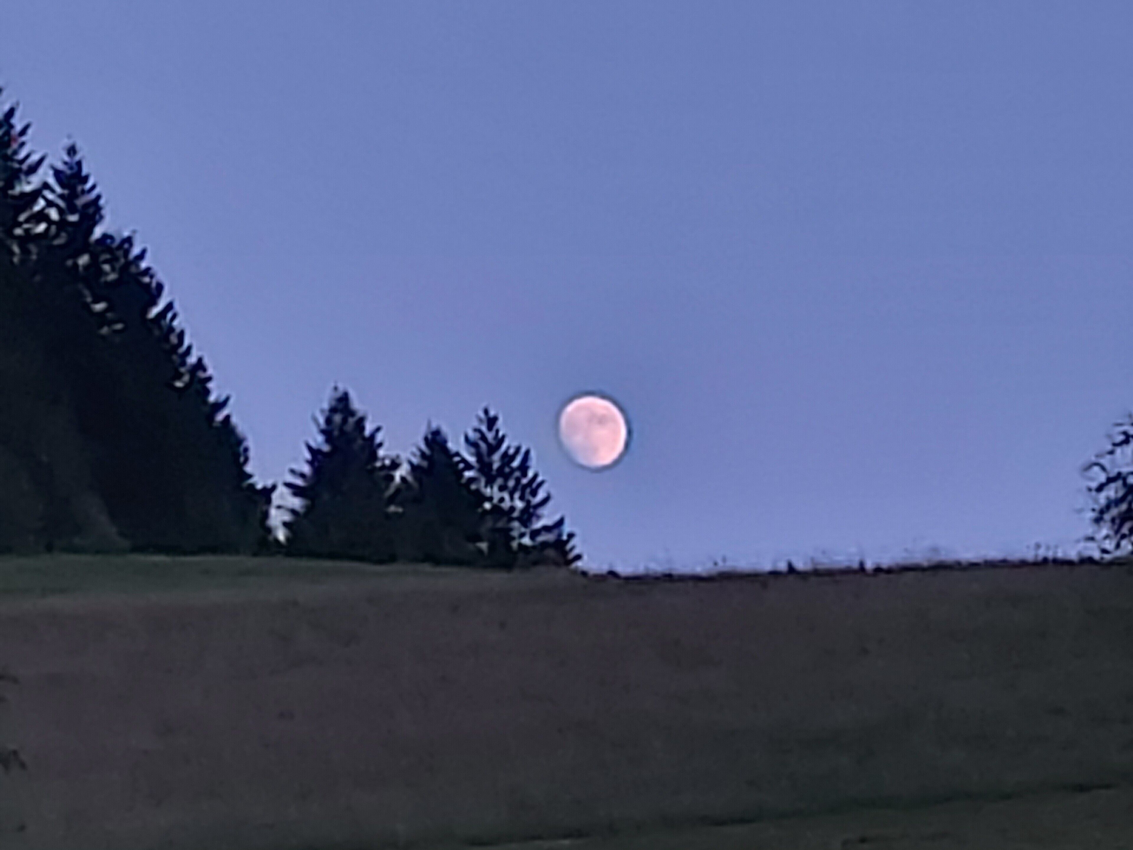 A full moon in the sky with a forested hill in the foreground.
