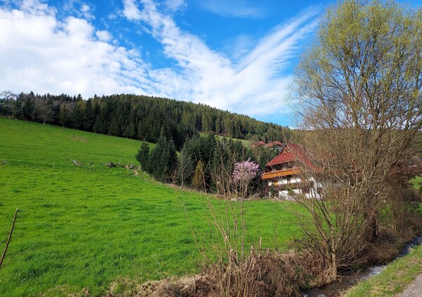 A rural landscape with a house, green field, and forested hill.