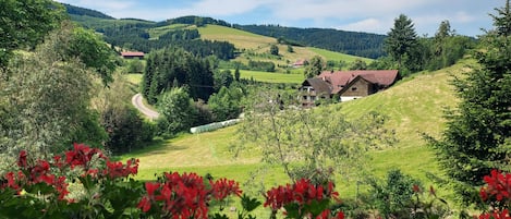 Paisaje rural con colinas ondulantes, un camino serpenteante y un grupo de casas con tejados rojos.