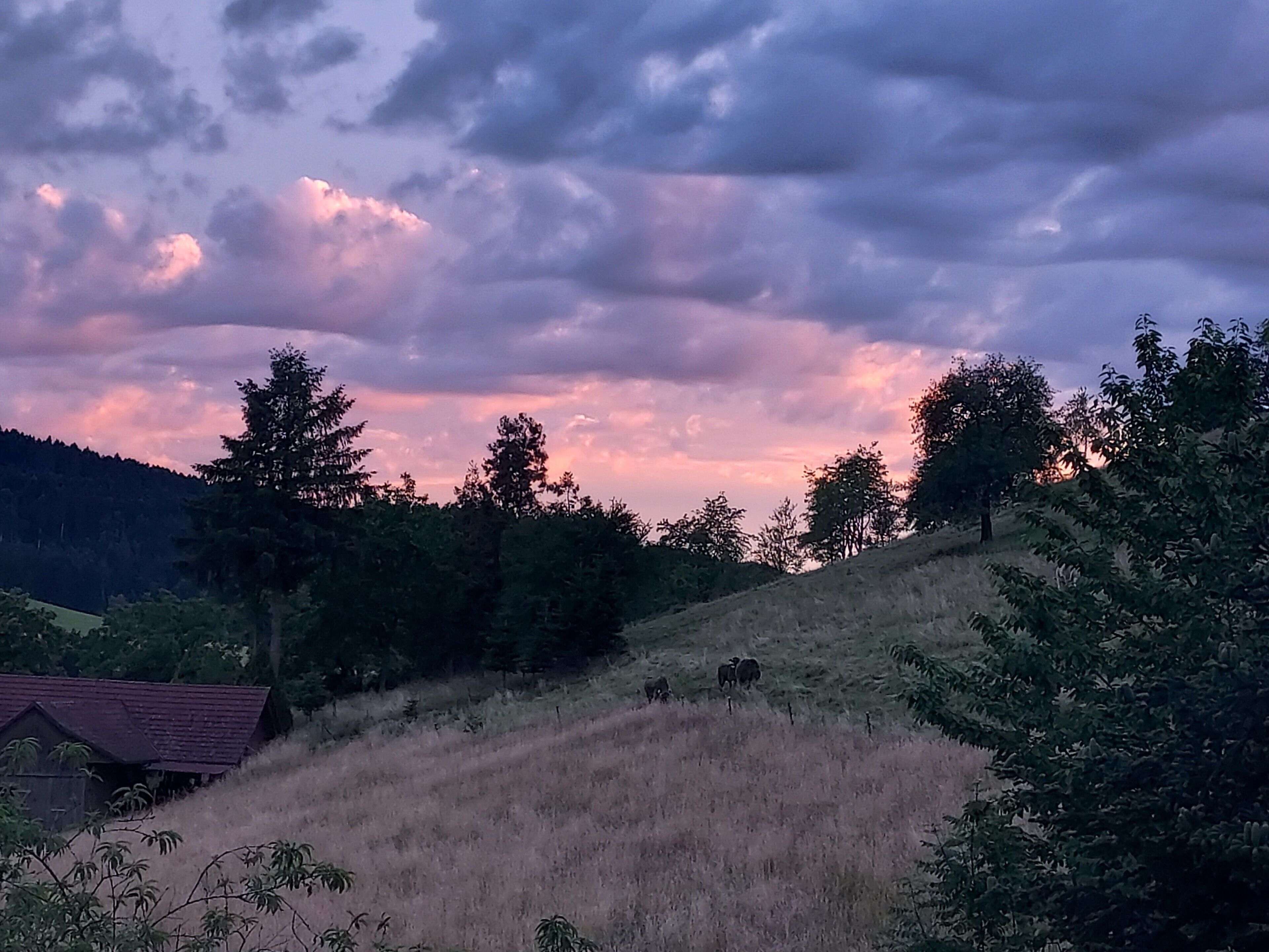 A rural landscape with a hill, trees, and a building.