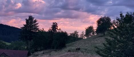 A rural landscape with a hill, trees, and a building.