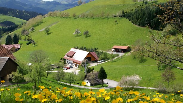 A rural landscape with green fields, a few buildings, and a clear sky.