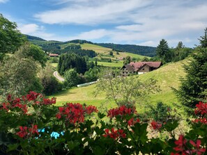 Property grounds - Holiday Apartment 'Schwalbennest' with Shared Garden and Wi-Fi (Zell am Harmersbach)