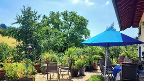A patio with chairs and tables, surrounded by potted plants and trees.