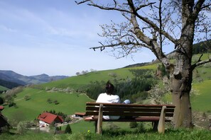 Property grounds - Holiday Apartment 'Schäfchen' with Shared Garden and Wi-Fi (Zell am Harmersbach)