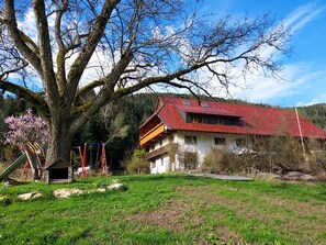 Exterior - Holiday Apartment 'Schäfchen' with Shared Garden and Wi-Fi (Zell am Harmersbach)