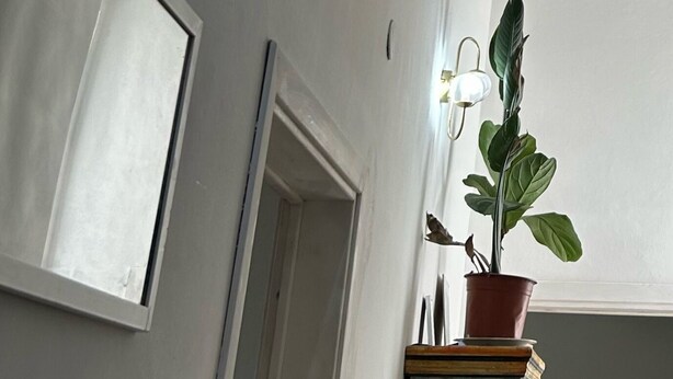A ceiling light fixture with three bulbs, a potted plant on a cabinet, and a door with a window. - Elegant  peaceful flat with A/C  and all modern appliance in San Frediano (Florence)