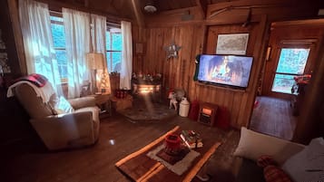 Smart TV, fireplace, books