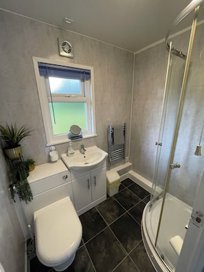 Shower, hair dryer, toilet paper
