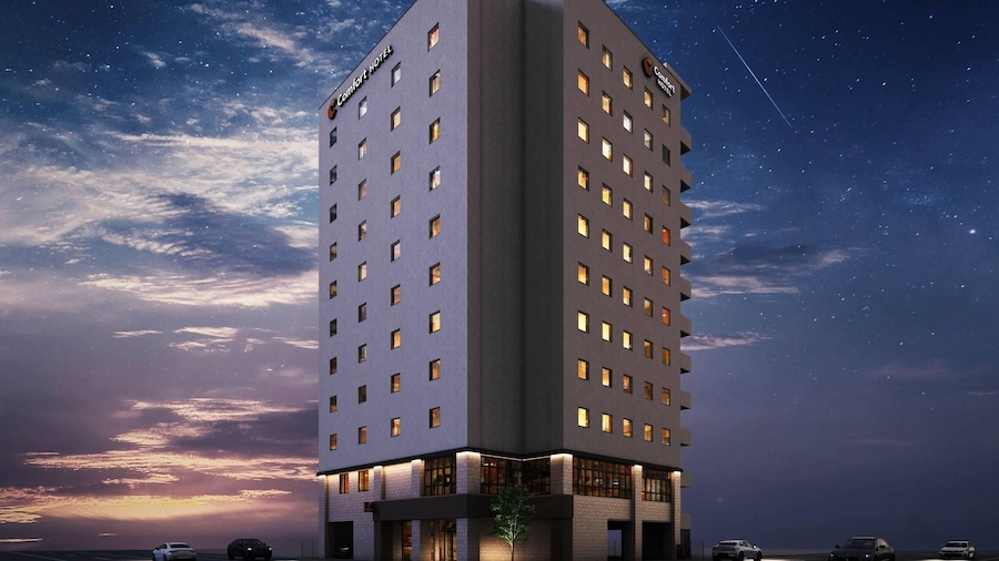 Comfort Hotel ERA Sapporo North