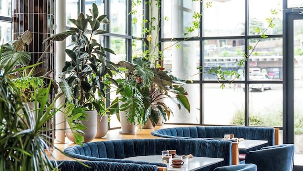 Un restaurant moderne avec des sièges rembourrés en tissu bleu, de grandes fenêtres et des lanternes en papier suspendues.