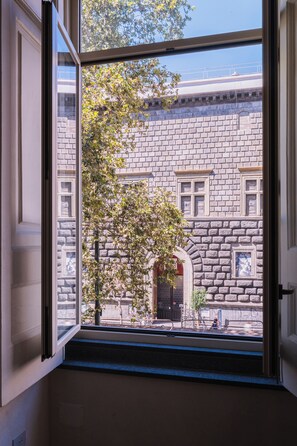 Superior Suite | View from room