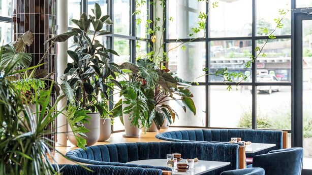 A modern restaurant with blue upholstered seating, large windows, and hanging paper lanterns.