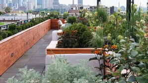 Un jardín en la azotea con el horizonte de la ciudad al fondo.