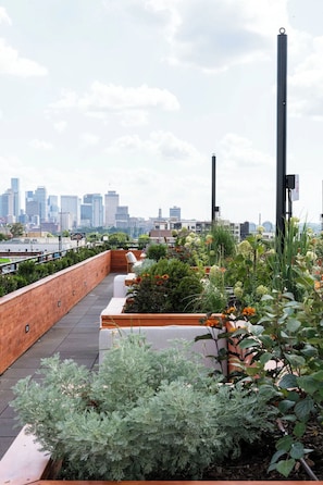 Jardines del alojamiento