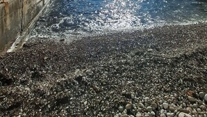 Paisaje costero con playa rocosa, paseo marítimo de hormigón y acantilados.