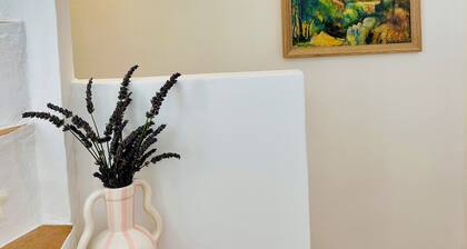 Charmante maison au centre dâAix, calme, absolue, lumineuse.