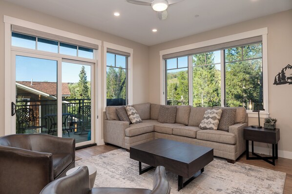 Smart TV, fireplace, books, stereo