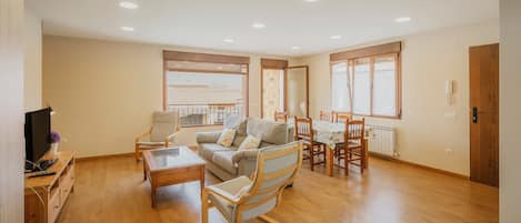 تلفزيون، مشغل دي في دي